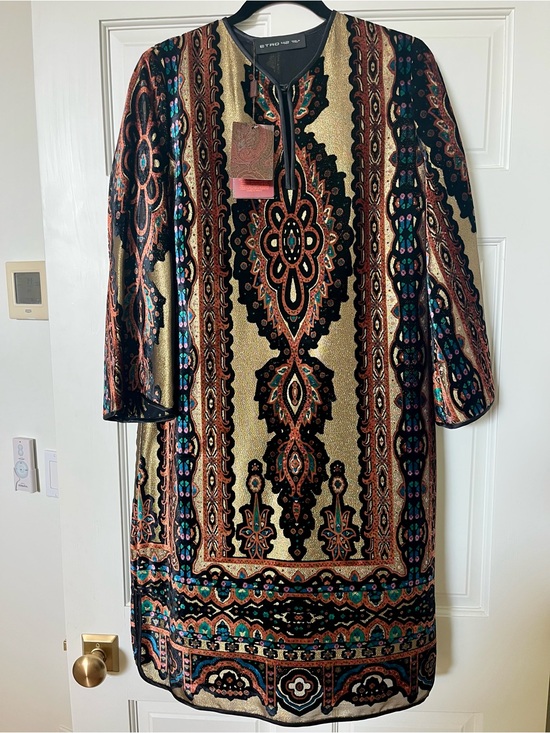 Dresses & Skirts - NWT Luxury Italian ETRO Milano Metallic Devote Velvet Shift Dress Sz 42/US 6